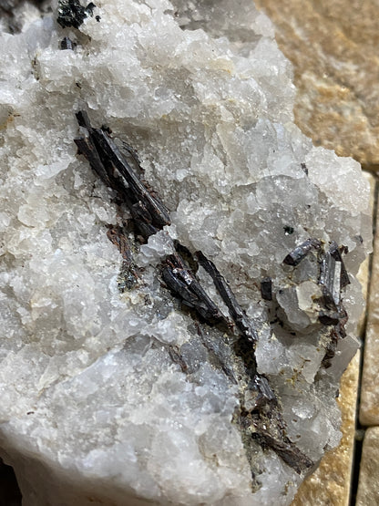 RUTILE ON QUARTZ : LACHAN NA LAIRGIE, PERTHSHIRE, SCOTLAND  106g MF4808
