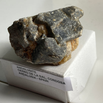 ANDALUSITE - CERRO DE LA SAL, ANDALUSIA, SPAIN. 90g MF1984