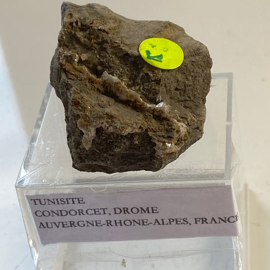 TUNISITE IN MATRIX - CONDORCET, DROME, FRANCE. 22g. MF1981