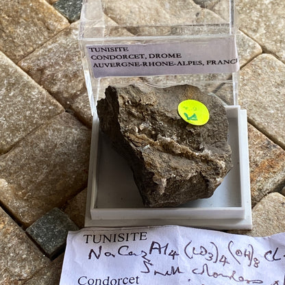 TUNISITE IN MATRIX - CONDORCET, DROME, FRANCE. 22g. MF1981