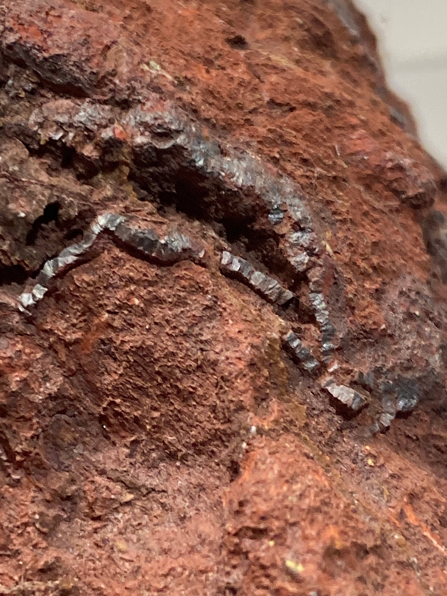 HEMATITE/OXIDISED CALCITE : NEW GLENCRIEFF MINE, WANLOCKHEAD, SCOTLAND 644g MF4814