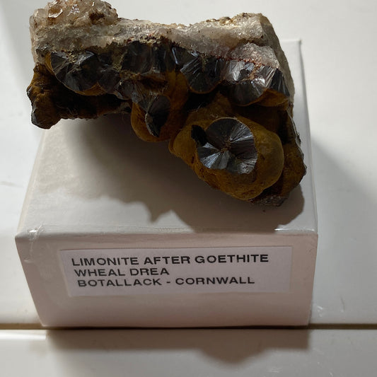 LIMONITE AFTER GOETHITE : WHEAL DREA, BOTALLACK, ST JUST, CORNWALL  54g MF5419