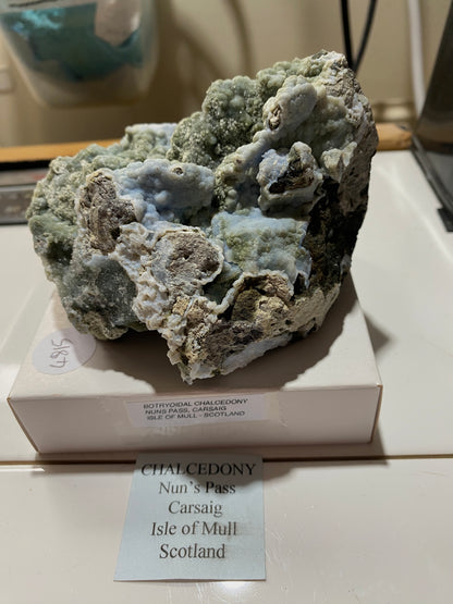 BOTRYOIDAL CHALCEDONY : NUNS PASS, CARSAIG, ISLE OF MULL, SCOTLAND 678g MF4815