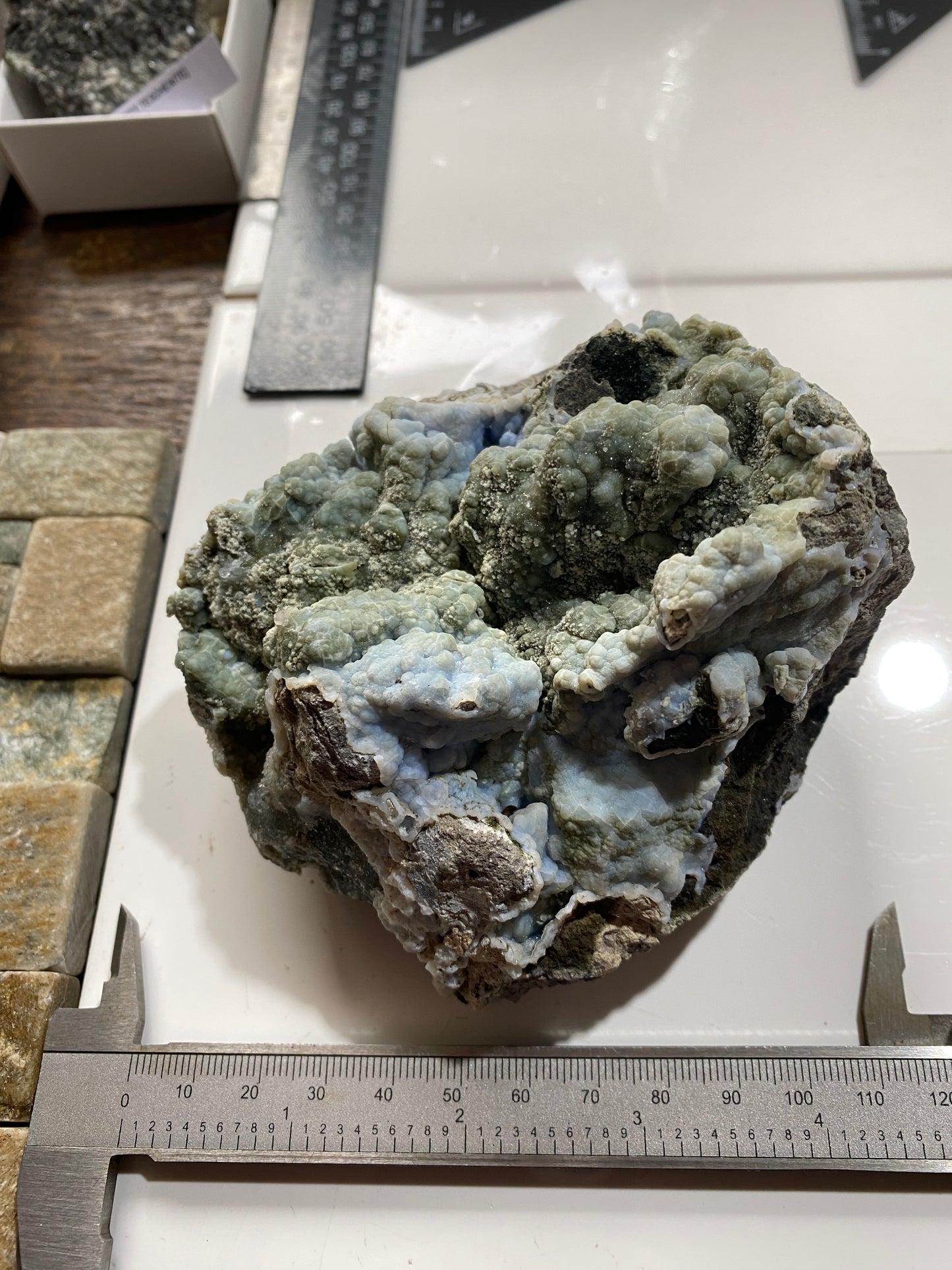 BOTRYOIDAL CHALCEDONY : NUNS PASS, CARSAIG, ISLE OF MULL, SCOTLAND 678g MF4815