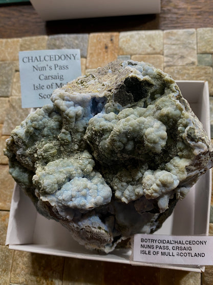 BOTRYOIDAL CHALCEDONY : NUNS PASS, CARSAIG, ISLE OF MULL, SCOTLAND 678g MF4815