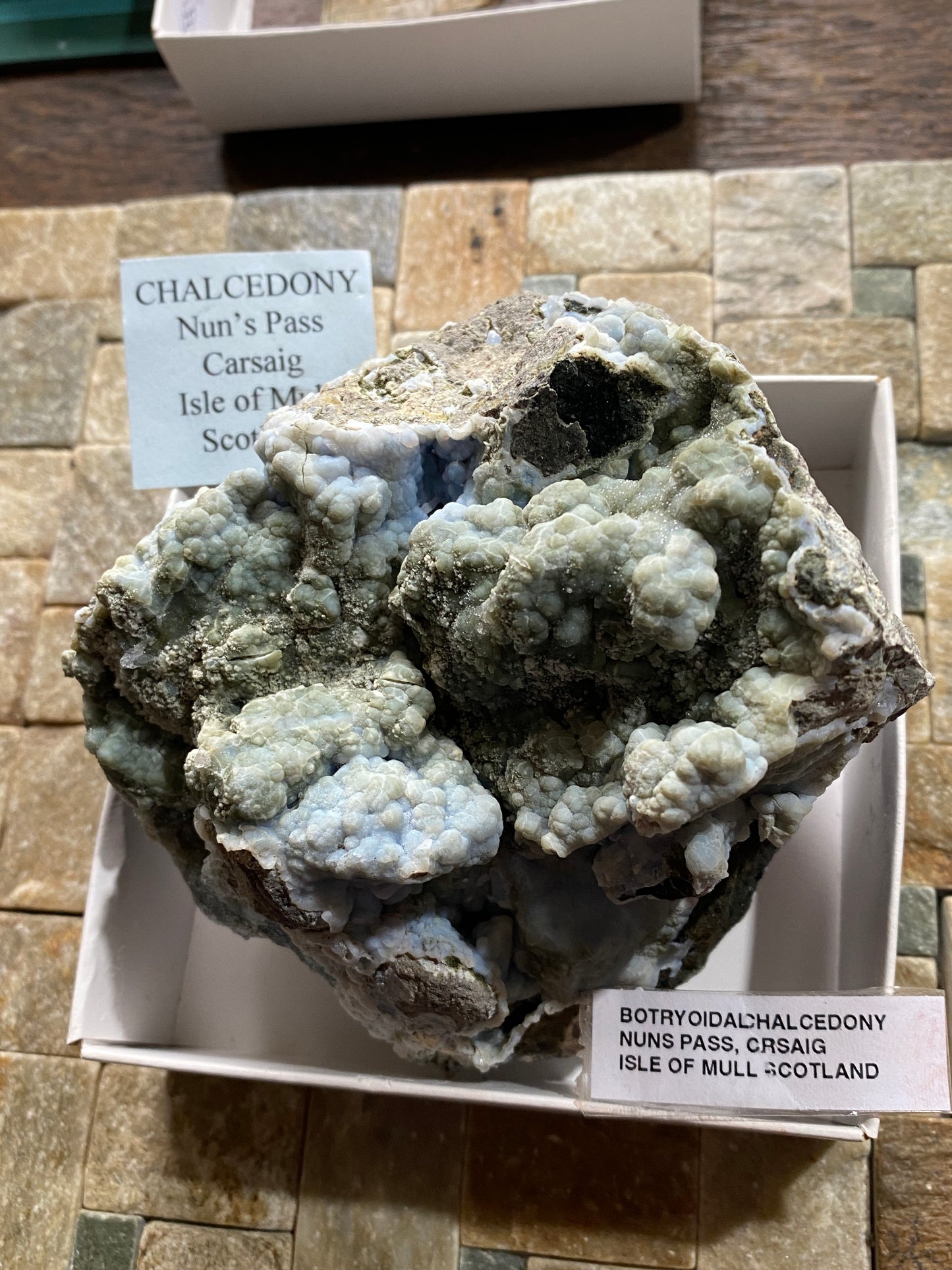 BOTRYOIDAL CHALCEDONY : NUNS PASS, CARSAIG, ISLE OF MULL, SCOTLAND 678g MF4815