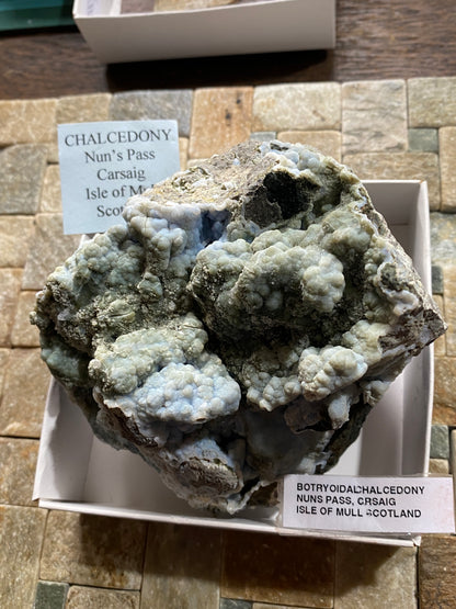 BOTRYOIDAL CHALCEDONY : NUNS PASS, CARSAIG, ISLE OF MULL, SCOTLAND 678g MF4815