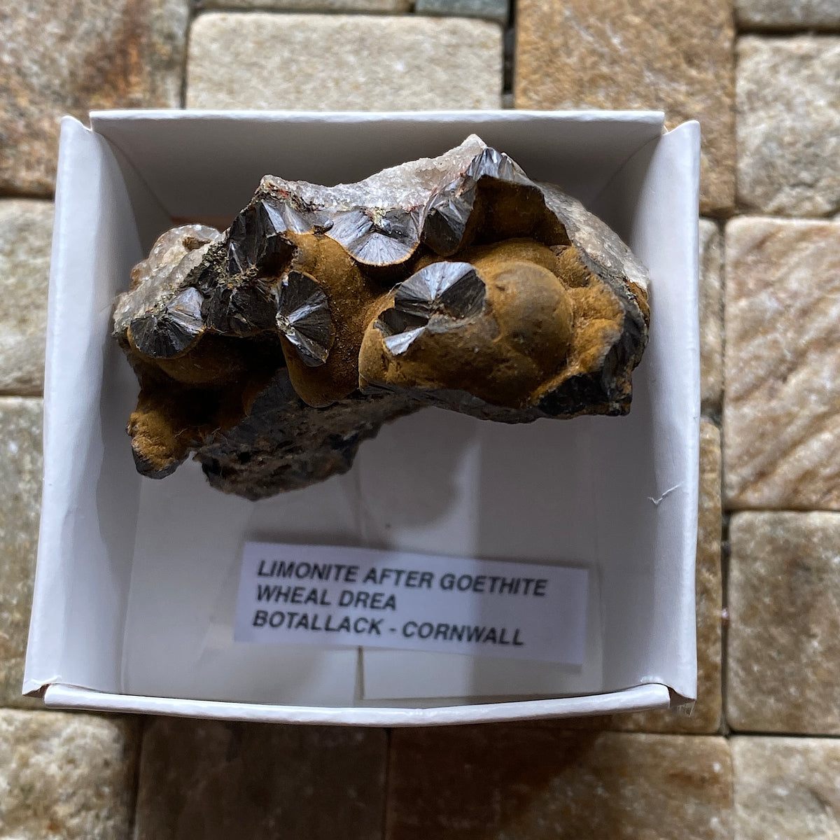 LIMONITE AFTER GOETHITE : WHEAL DREA, BOTALLACK, ST JUST, CORNWALL  54g MF5419