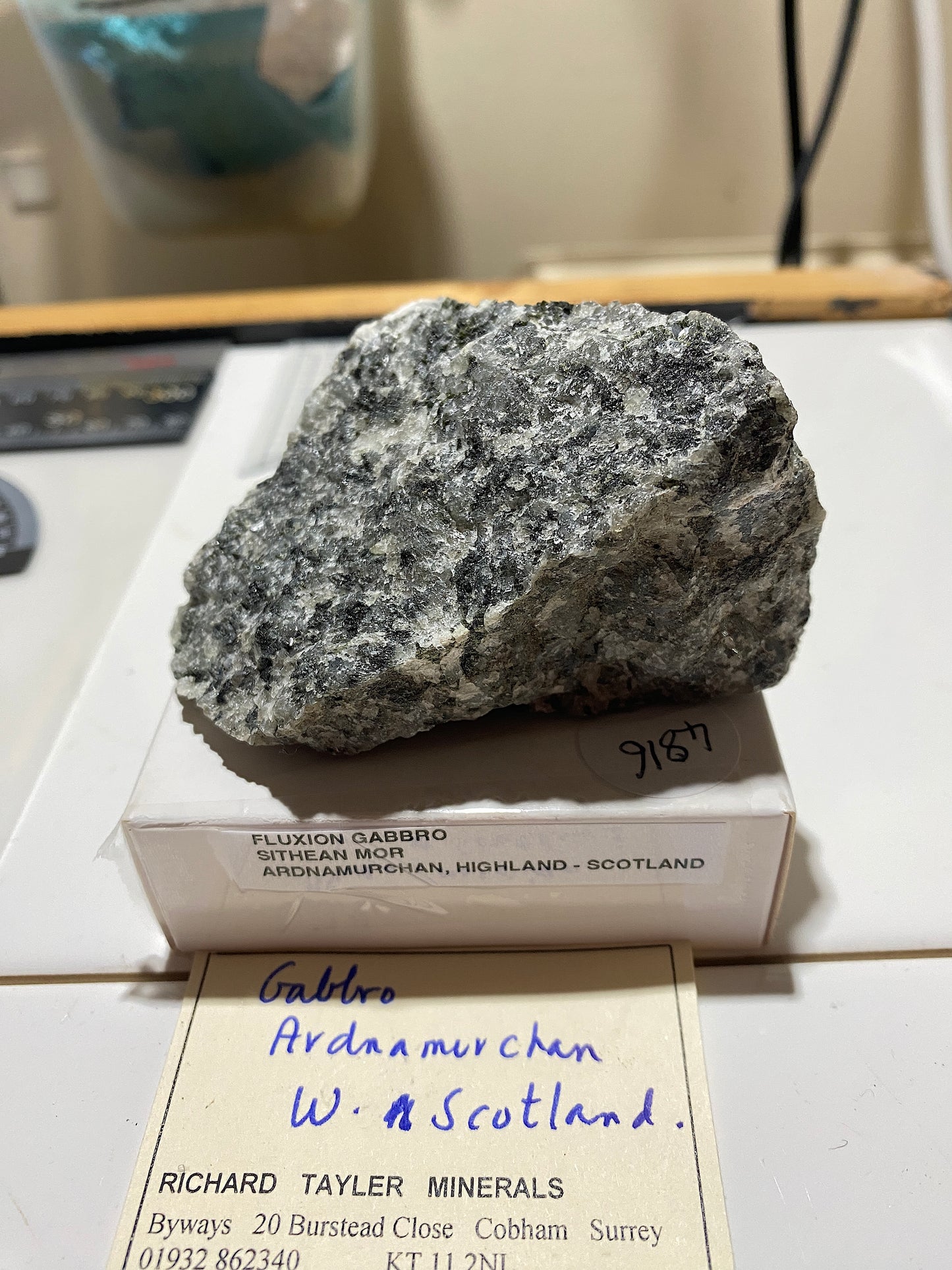 GABBRO : SITHEAN MOR, ARDNAMURCHAN, HIGHLAND, SCOTLAND 240g MF4816