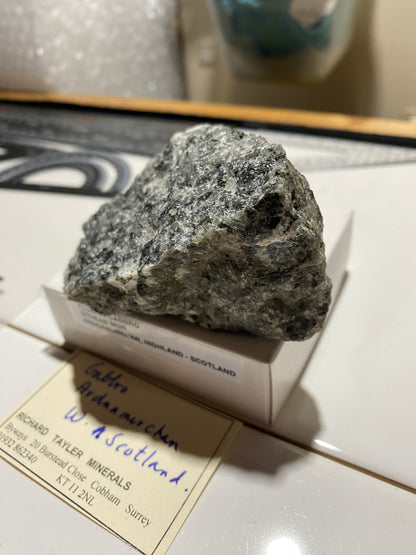 GABBRO : SITHEAN MOR, ARDNAMURCHAN, HIGHLAND, SCOTLAND 240g MF4816