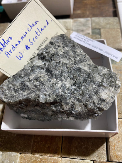 GABBRO : SITHEAN MOR, ARDNAMURCHAN, HIGHLAND, SCOTLAND 240g MF4816