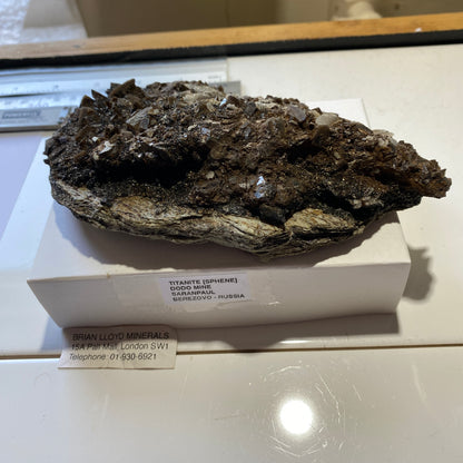 TITANITE WITH CALCITE [ETC] FROM DODO MINE, SARANPAUL, RUSSIA 405g  MF9856B