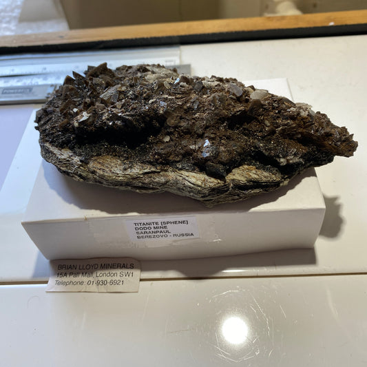 TITANITE WITH CALCITE [ETC] FROM DODO MINE, SARANPAUL, RUSSIA 405g  MF9856B