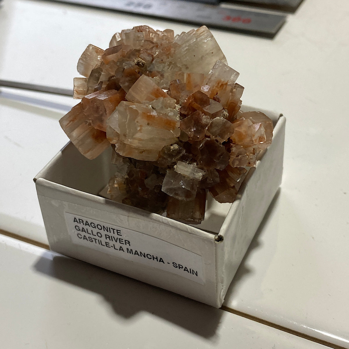 ARAGONITE :GALLO RIVER,  CASTILE-LA MANCHA, SPAIN. 87g. MF5422