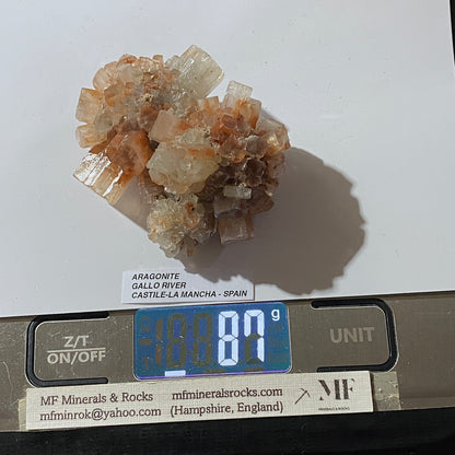 ARAGONITE :GALLO RIVER,  CASTILE-LA MANCHA, SPAIN. 87g. MF5422