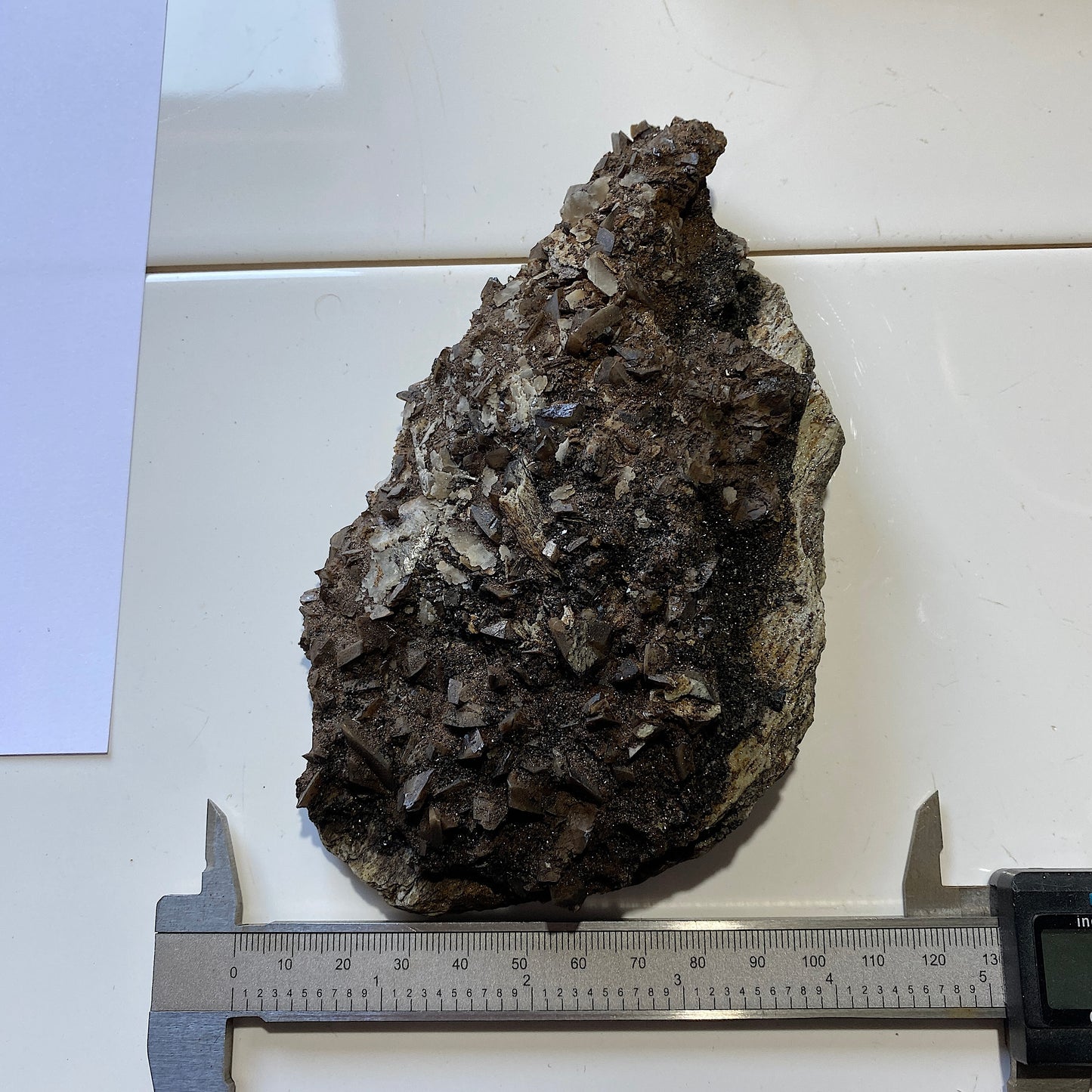 TITANITE WITH CALCITE [ETC] FROM DODO MINE, SARANPAUL, RUSSIA 405g  MF9856B