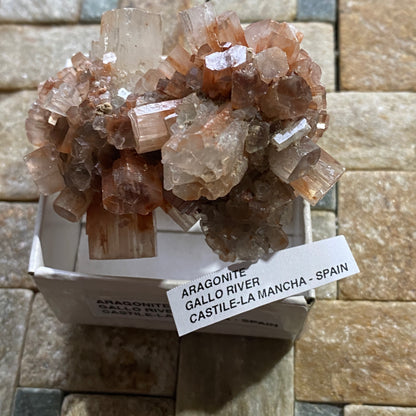 ARAGONITE :GALLO RIVER,  CASTILE-LA MANCHA, SPAIN. 87g. MF5422