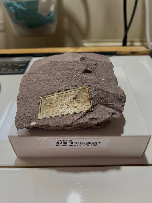 ANDESITE : BLACKFORD HILL QUARRY, EDINBURGH, SCOTLAND  325g MF4819
