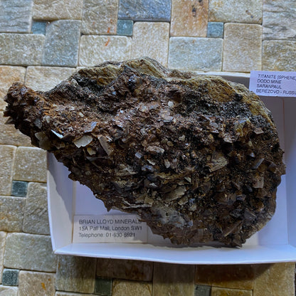 TITANITE WITH CALCITE [ETC] FROM DODO MINE, SARANPAUL, RUSSIA 405g  MF9856B