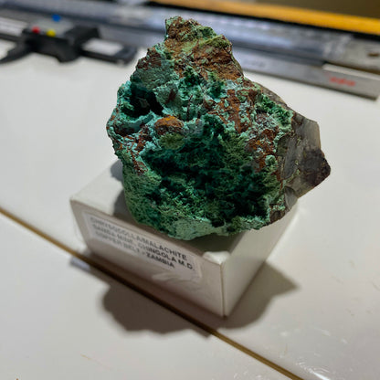 CHRYSOCOLLA WITH MALACHITE : SAMBA MINE, CHINGOLA, COPPER BELT ZAMBIA 110g MF5423