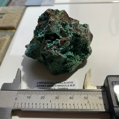 CHRYSOCOLLA WITH MALACHITE : SAMBA MINE, CHINGOLA, COPPER BELT ZAMBIA 110g MF5423