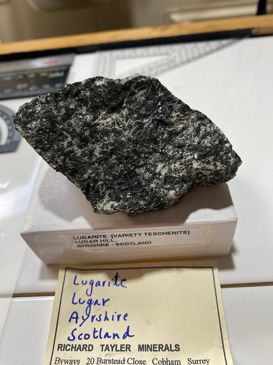 LUGARITE [VARIETY OF TESCHENITE] : LUGAR HILL, AYRSHIRE, SCOTLAND 148g MF4820