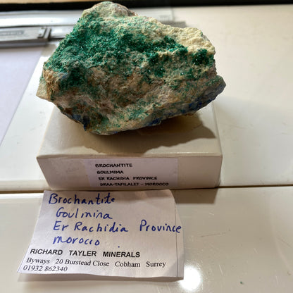 BROCHANTITE - GOULMIMA, ER RACHIDIA PROVINCE, MOROCCO - AFRICA  229g MF9773