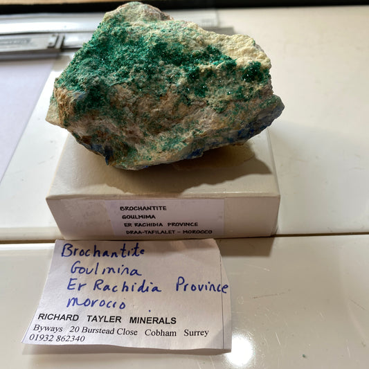 BROCHANTITE - GOULMIMA, ER RACHIDIA PROVINCE, MOROCCO - AFRICA  229g MF9773