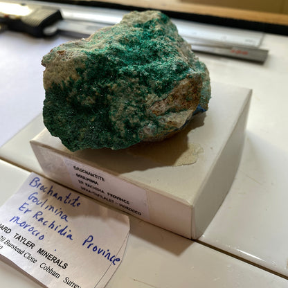 BROCHANTITE - GOULMIMA, ER RACHIDIA PROVINCE, MOROCCO - AFRICA  229g MF9773