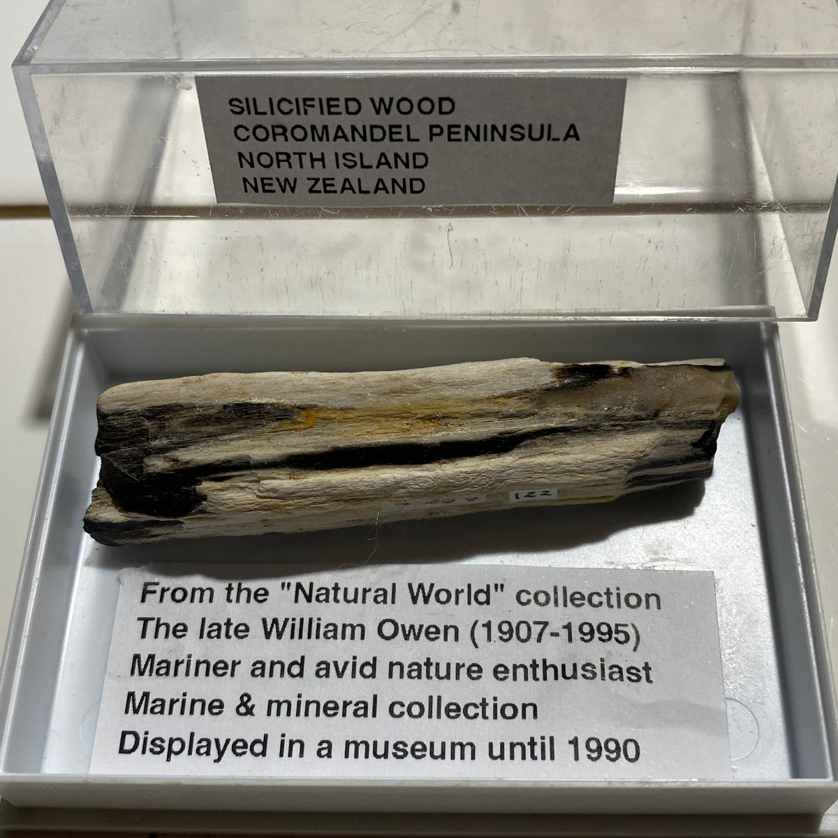 SILICIFIED WOOD : COROMANDEL PENINSULA, NORTH ISLAND NEW ZEALAND 66g. MF5425