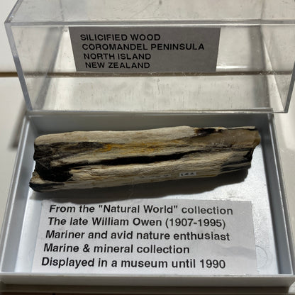 SILICIFIED WOOD : COROMANDEL PENINSULA, NORTH ISLAND NEW ZEALAND 66g. MF5425