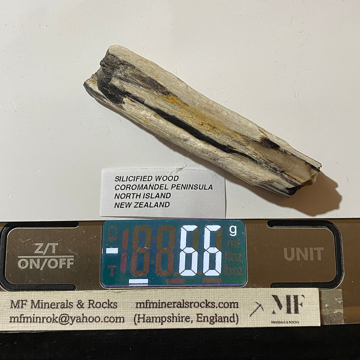 SILICIFIED WOOD : COROMANDEL PENINSULA, NORTH ISLAND NEW ZEALAND 66g. MF5425