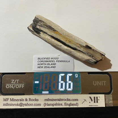 SILICIFIED WOOD : COROMANDEL PENINSULA, NORTH ISLAND NEW ZEALAND 66g. MF5425