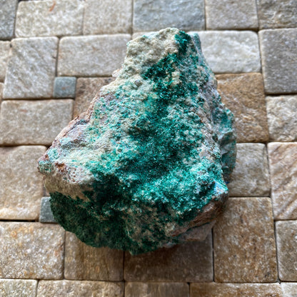 BROCHANTITE - GOULMIMA, ER RACHIDIA PROVINCE, MOROCCO - AFRICA  229g MF9773