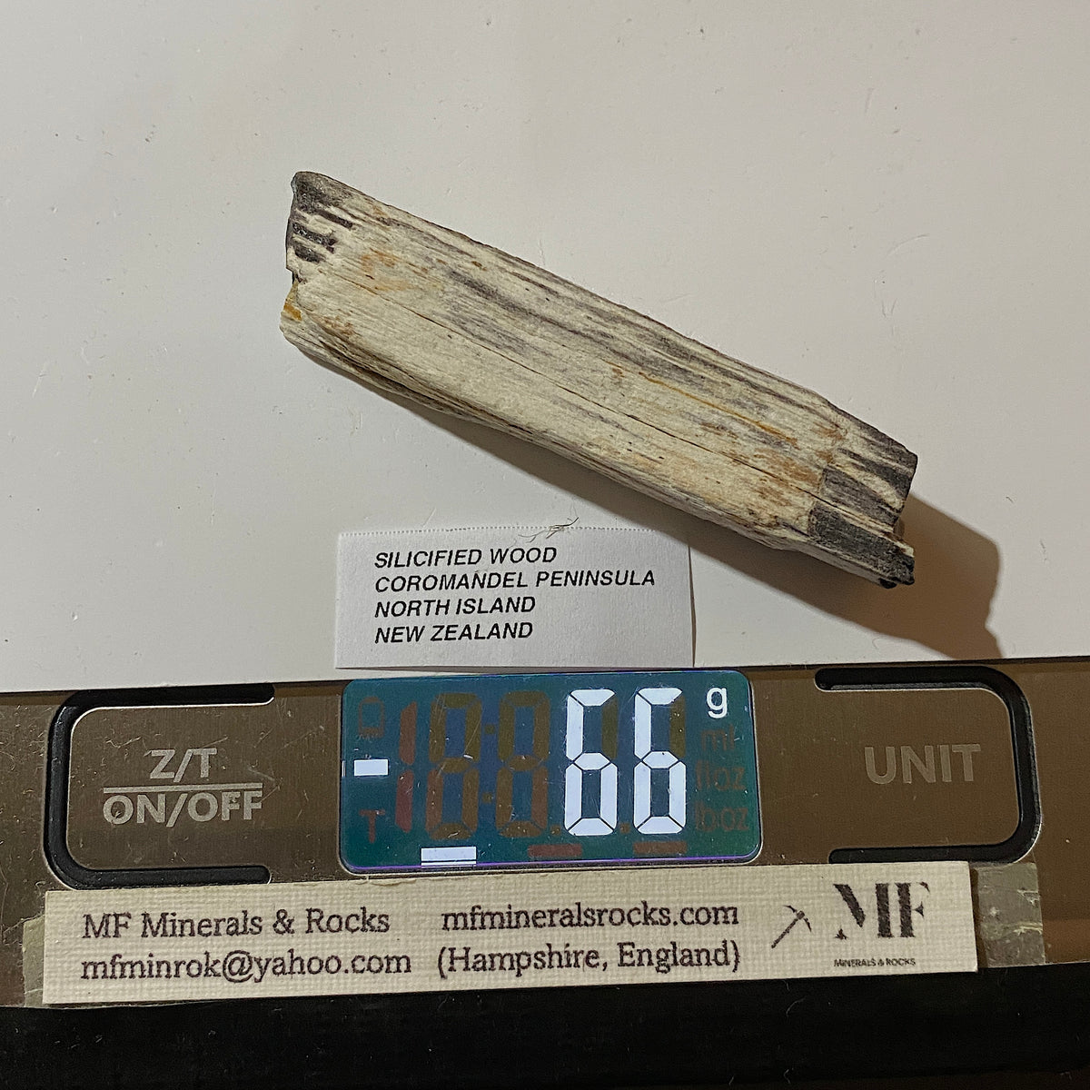 SILICIFIED WOOD : COROMANDEL PENINSULA, NORTH ISLAND NEW ZEALAND 66g. MF5425