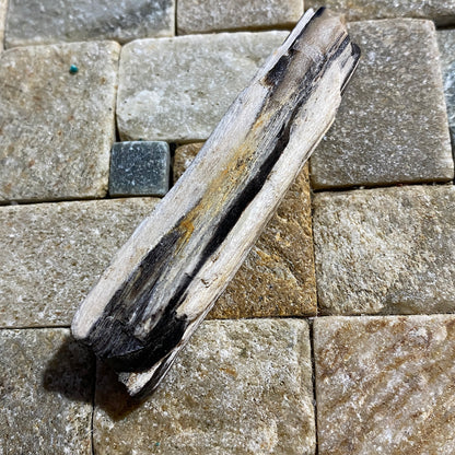 SILICIFIED WOOD : COROMANDEL PENINSULA, NORTH ISLAND NEW ZEALAND 66g. MF5425