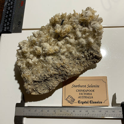 BEAUTIFUL LARGE SELENITE : CHINKAPOOK, VICTORIA, AUSTRALIA   439g MF5430