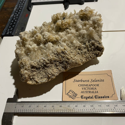 BEAUTIFUL LARGE SELENITE : CHINKAPOOK, VICTORIA, AUSTRALIA   439g MF5430