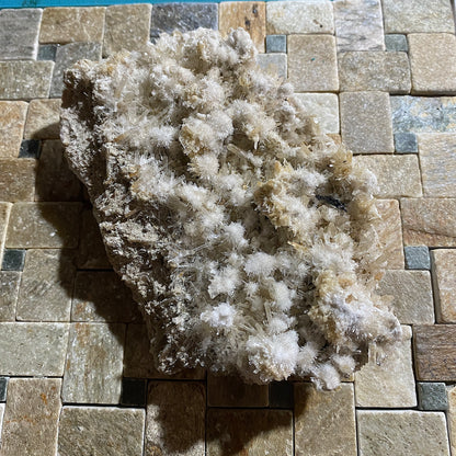 BEAUTIFUL LARGE SELENITE : CHINKAPOOK, VICTORIA, AUSTRALIA   439g MF5430