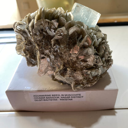 AQUAMARINE BERYL IN MUSCOVITE - CHUMAR BAKHOOR, NAGAR, GILGIT-BALTISTAN- PAKISTAN 487g MF9635