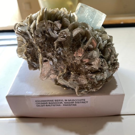 AQUAMARINE BERYL IN MUSCOVITE - CHUMAR BAKHOOR, NAGAR, GILGIT-BALTISTAN- PAKISTAN 487g MF9635