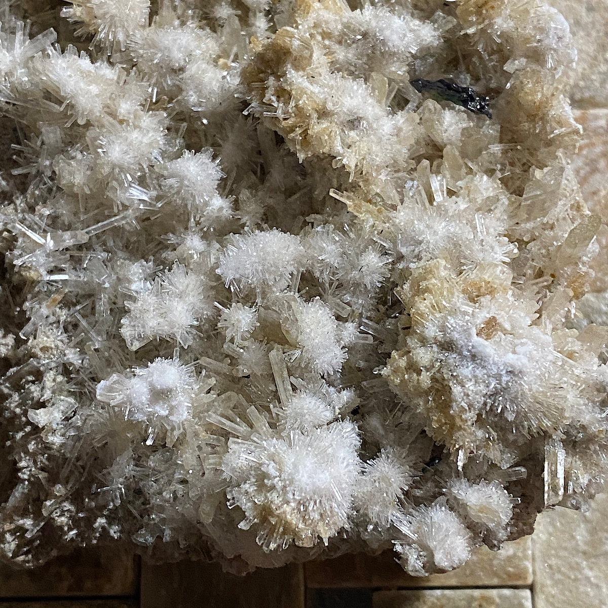 BEAUTIFUL LARGE SELENITE : CHINKAPOOK, VICTORIA, AUSTRALIA   439g MF5430