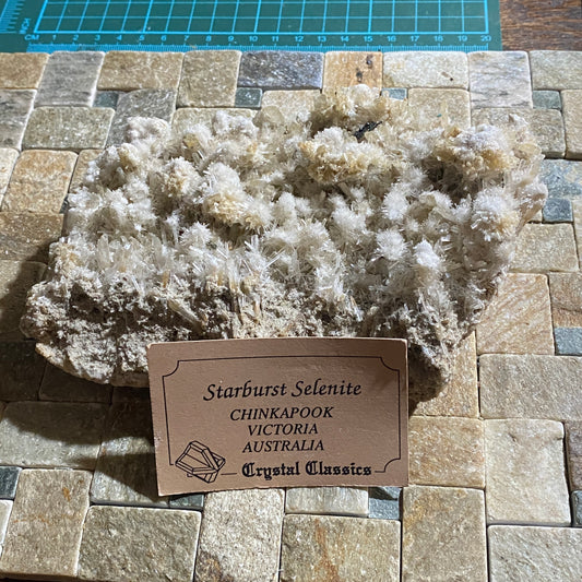 BEAUTIFUL LARGE SELENITE : CHINKAPOOK, VICTORIA, AUSTRALIA   439g MF5430
