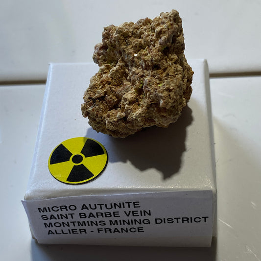 AUTUNITE [RADIOACTIVE] : SAINT BARBE VEIN, MONTMINS MINING DISTRICT, ALLIER, FRANCE 8g MF5444
