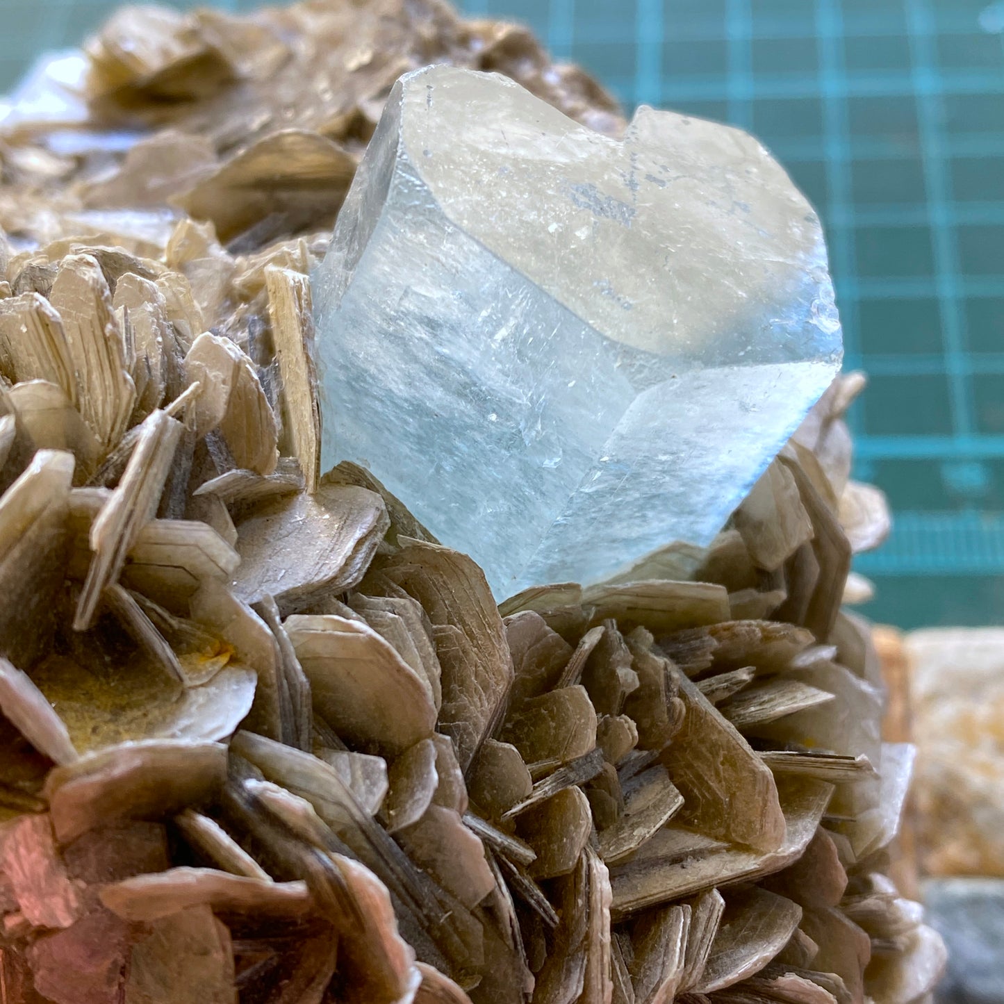 AQUAMARINE BERYL IN MUSCOVITE - CHUMAR BAKHOOR, NAGAR, GILGIT-BALTISTAN- PAKISTAN 487g MF9635
