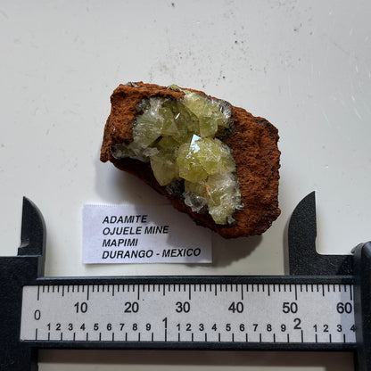 ADAMITE ON LIMONITE : OJUELA MINE, MAPIMI, DURANGO, MEXICO 21g MF5445