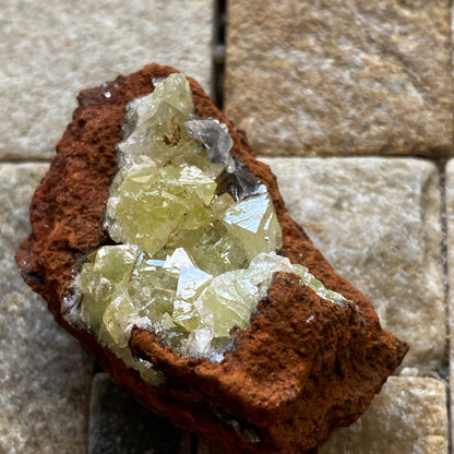 ADAMITE ON LIMONITE : OJUELA MINE, MAPIMI, DURANGO, MEXICO 21g MF5445