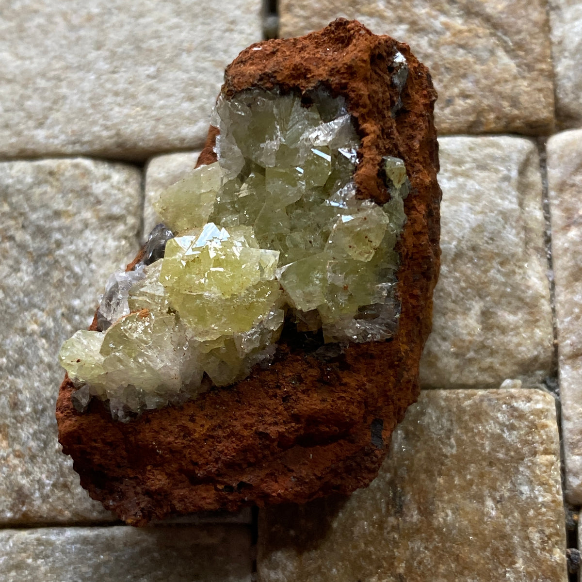 ADAMITE ON LIMONITE : OJUELA MINE, MAPIMI, DURANGO, MEXICO 21g MF5445