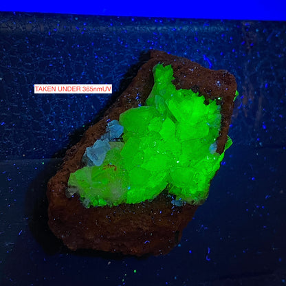 ADAMITE ON LIMONITE : OJUELA MINE, MAPIMI, DURANGO, MEXICO 21g MF5445