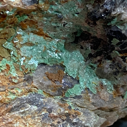 TORBERNITE [ Radioactive] ON LIMONITE - WHEAL BULLER, REDRUTH, CORNWALL, ENGLAND